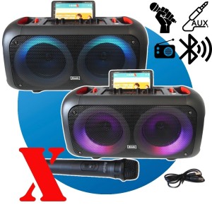 SOM ALÇA_300W_2x6,5