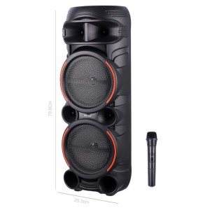 SOM KARAOKE_TORRE 2x8