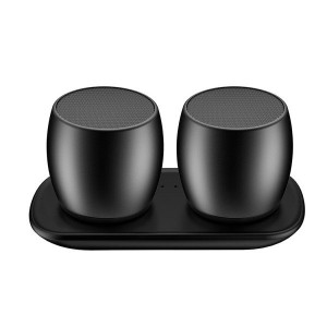 SARDINE F1DUPLO (F1)