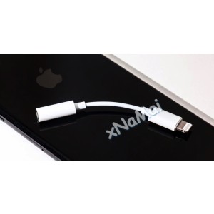 LTNG P2_LTNG SEM_MICROFONE