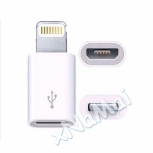 V8_FEMEA LTNG_MACHO V8/LTNG